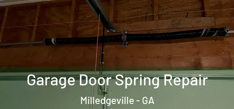  Garage Door Spring Repair Milledgeville - GA